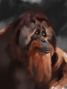 A digital painting of an orangutan looking to side. 
