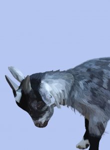 A digital painting of a young black and grey goat looking down. 