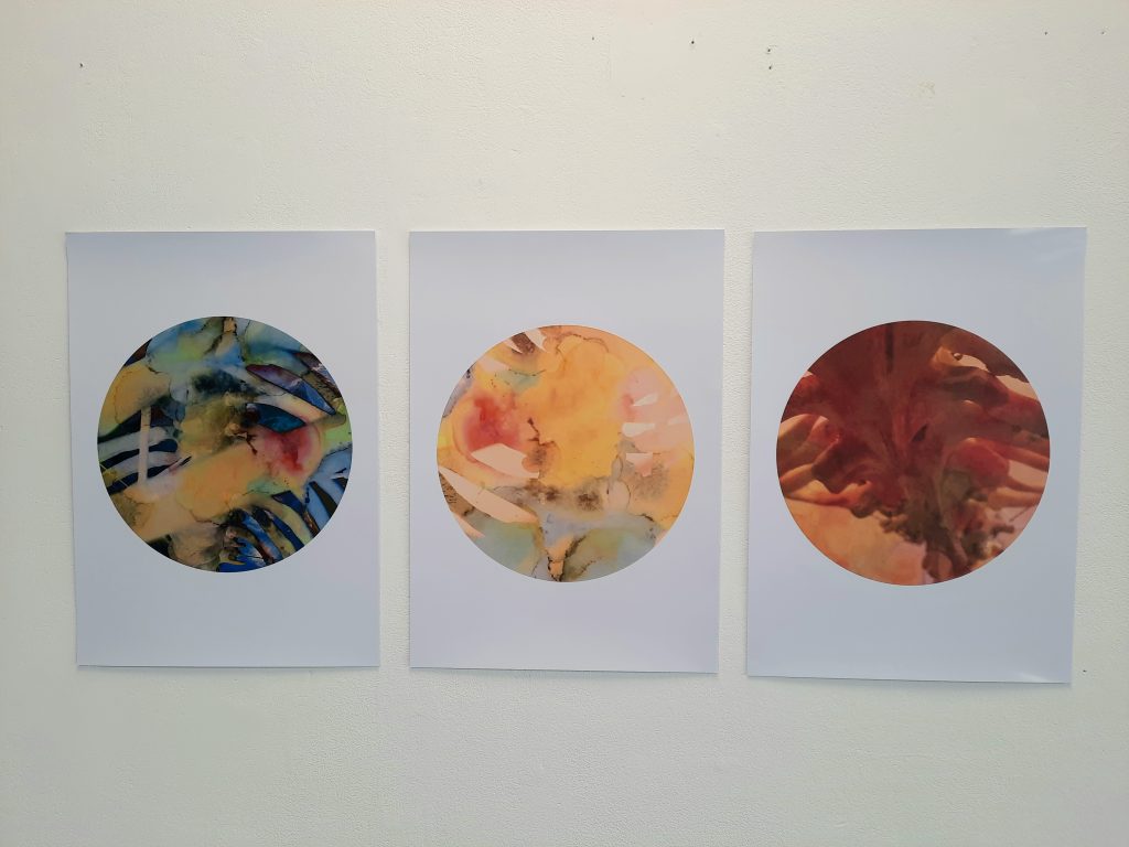 Three digitally altered photographs. Each image is framed by a circle. The images are of bones like forms with different coloured filters. 